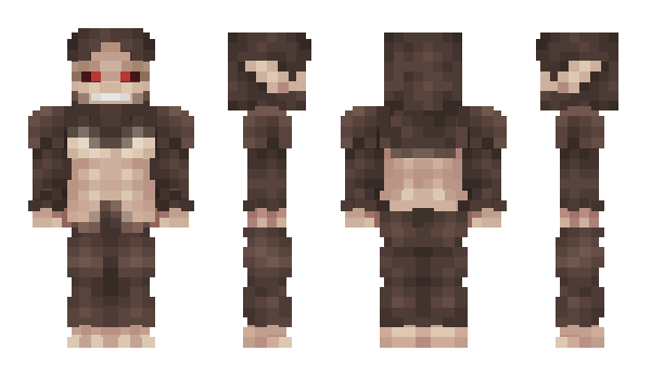 Minecraft skin Patagonia