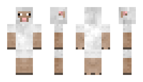 Minecraft skin CN06