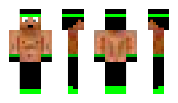 Minecraft skin auqaman12