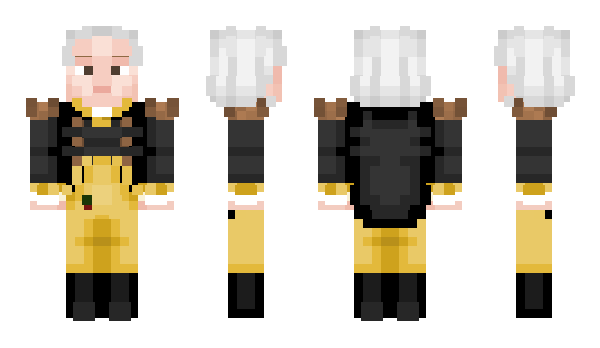 Minecraft skin Cetle