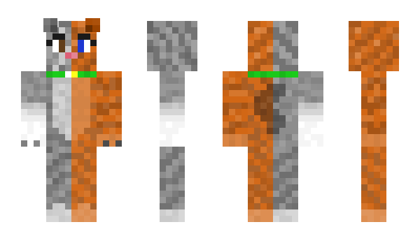 Minecraft skin KittyvsTiger