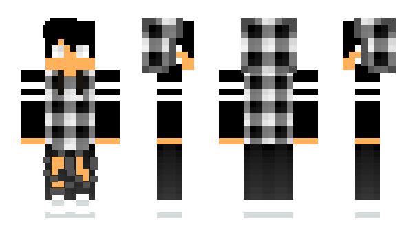 Minecraft skin Verzidess