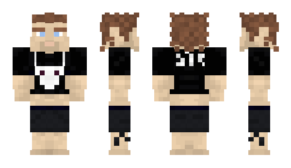 Minecraft skin MeddlDrachenLord