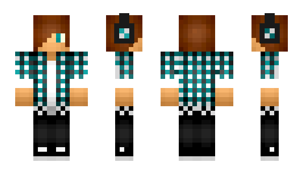 Minecraft skin dfvs