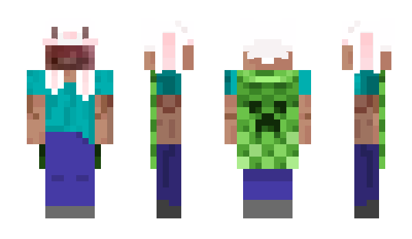 Minecraft скин по нику allmp