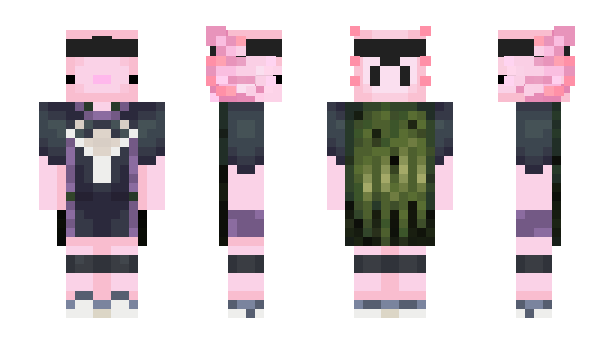 Minecraft скин по нику 8Seb