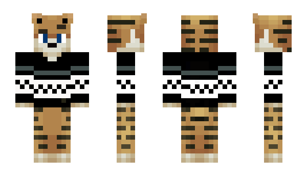 Minecraft skin Racxy