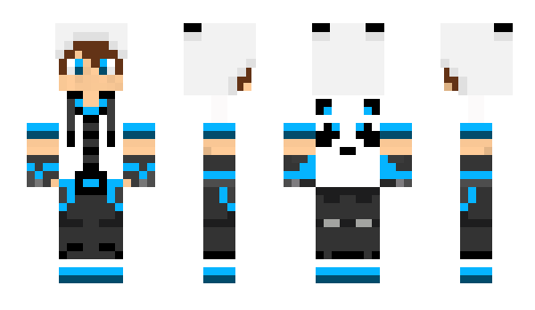 Minecraft skin vidae