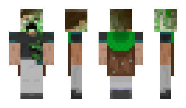 Minecraft скин по нику Ringlets