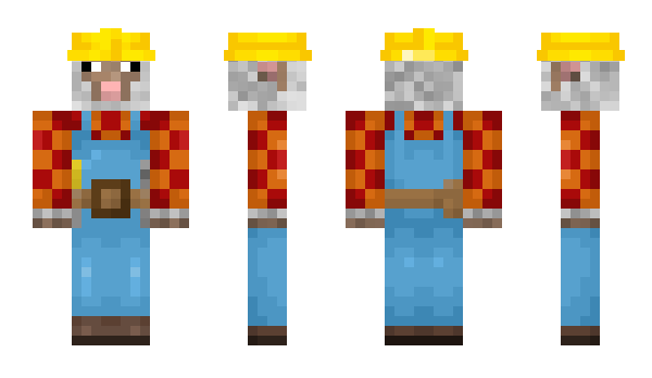 Minecraft skin RaxPax