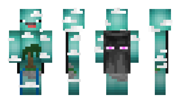 Minecraft skin Skywars