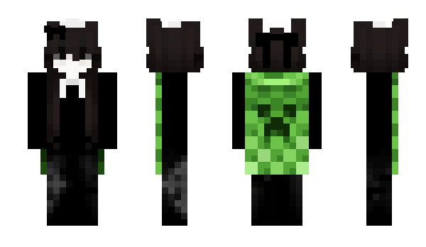 Minecraft skin r1dvc