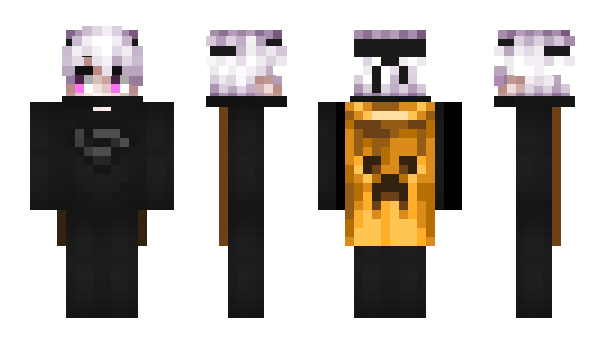 Minecraft skin d6pressed