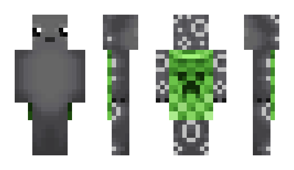 Minecraft skin RingySeal