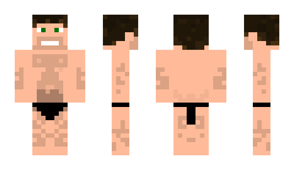Minecraft skin SirBradders