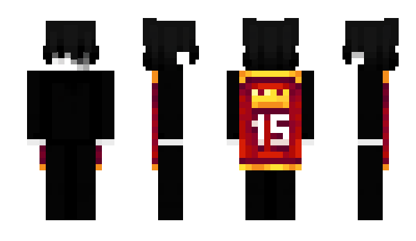 Minecraft skin WFIREE