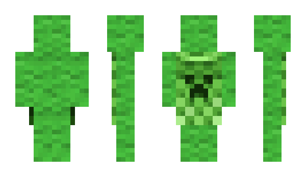 Minecraft skin lnez