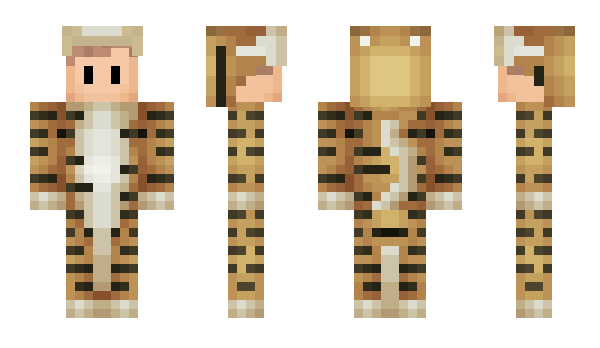 Minecraft skin OldKnight