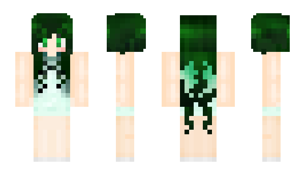 Minecraft skin droka