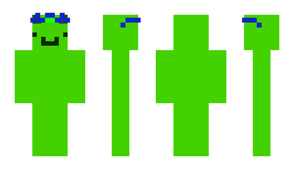 Minecraft скин по нику waynetse