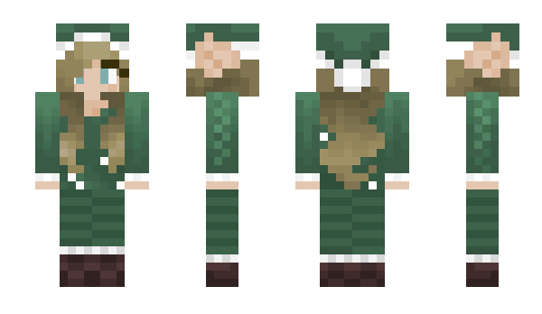 Minecraft skin Dammi