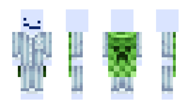 Minecraft skin dmfin