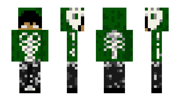 Minecraft skin Losquid