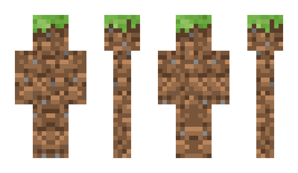 Minecraft skin Amingace