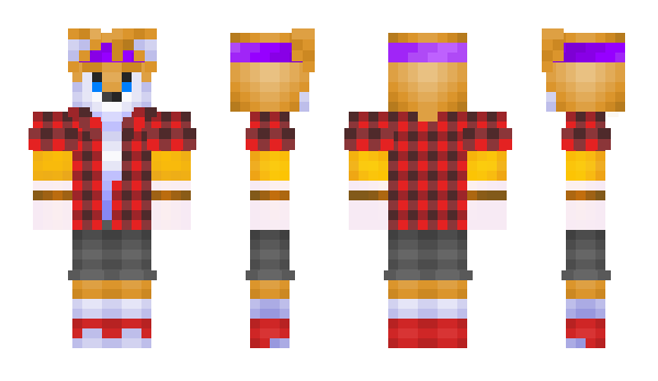 Minecraft skin NOT_POLAR_228