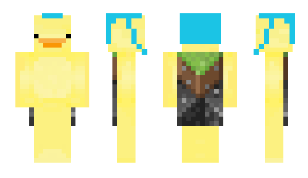 Minecraft skin nsel