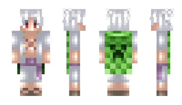 Minecraft skin DLnika