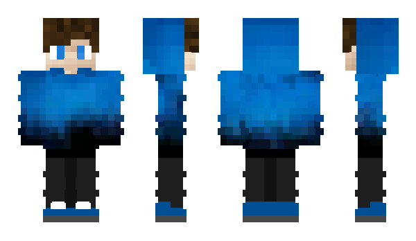 Minecraft skin Vollzy