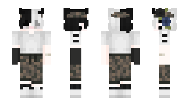 Minecraft skin _Steuerberater_