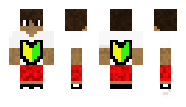 Minecraft skin asdga