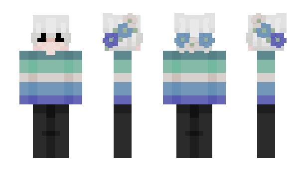 Minecraft skin qvsn