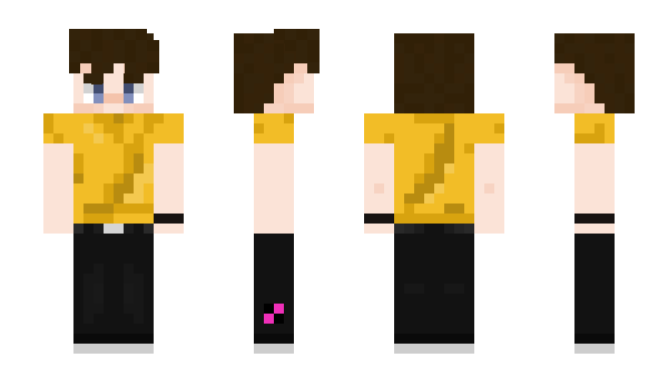 Minecraft skin MissingTex