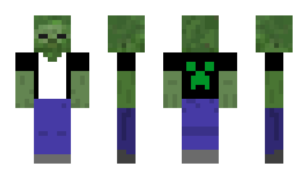 Minecraft skin Pechh