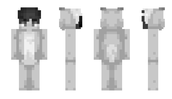 Minecraft skin FloinYT