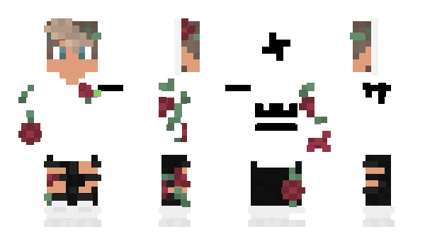 Minecraft skin Noig