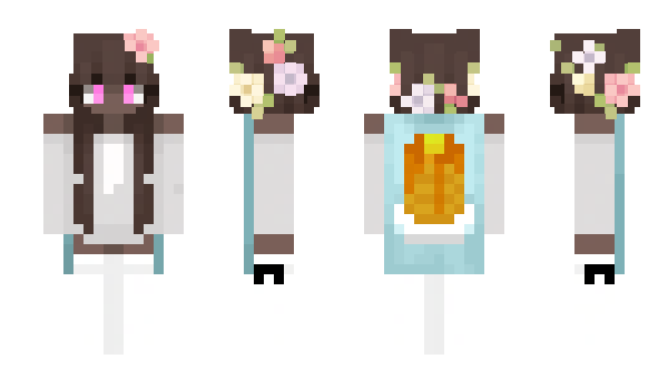 Minecraft skin AstolfoXP