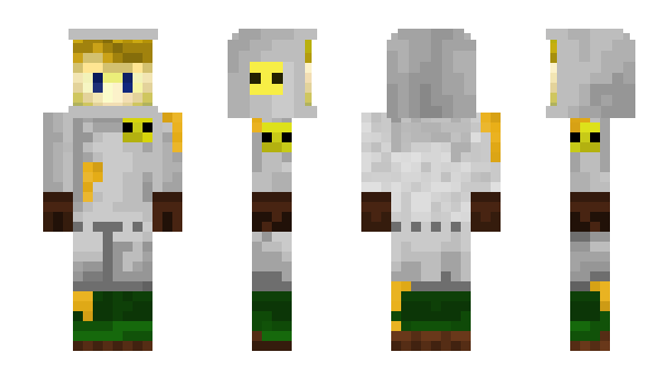 Minecraft skin ss100