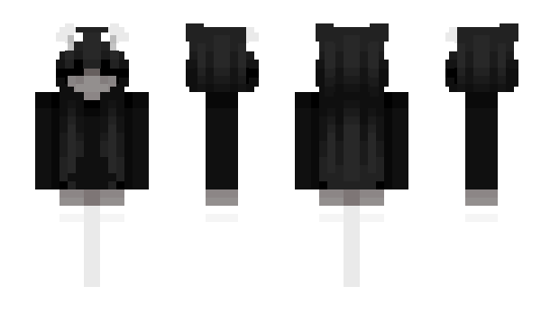 Minecraft skin kt033