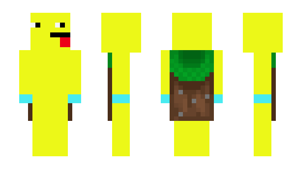 Minecraft скин по нику DogeProX