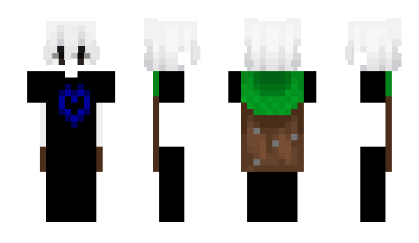 Minecraft skin SceptileLover