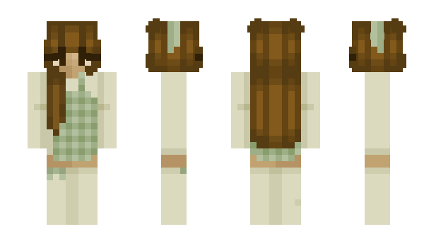 Minecraft skin VRS_Holger