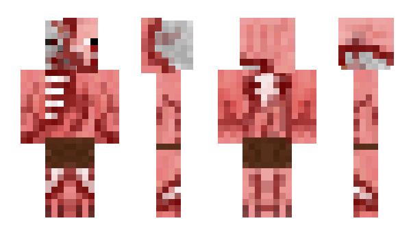 Minecraft skin plr2