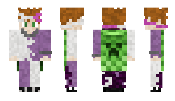 Minecraft skin lmJester