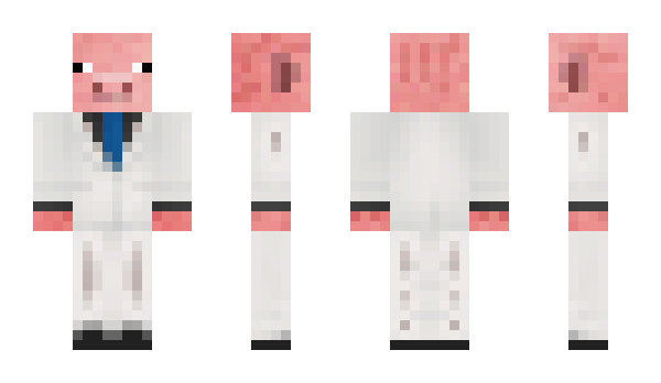 Minecraft skin pi_loko