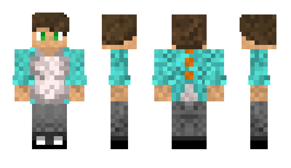 Minecraft skin Akobo