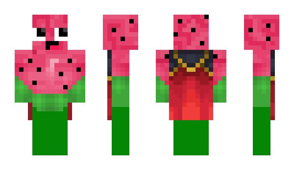 Minecraft skin Tereboi